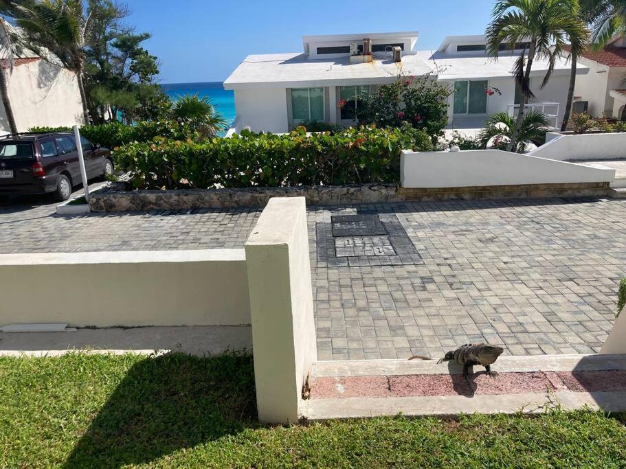Cancun Oceanfront, Entire Apartment Bagian luar foto
